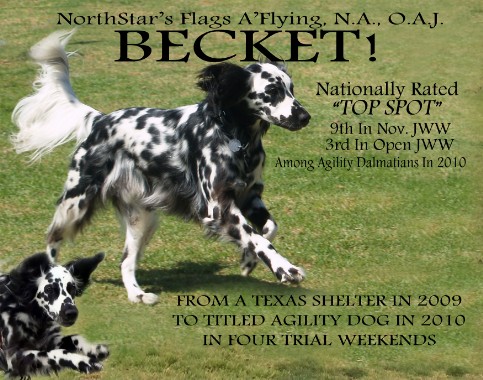 Becket